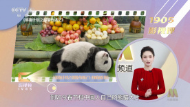 丝袜秘书在办公室被躁bd电影